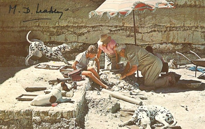 mary and louis leakey at work surrounded by their dogs
