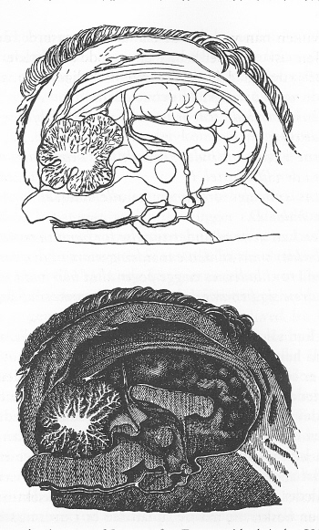 Tavle 2